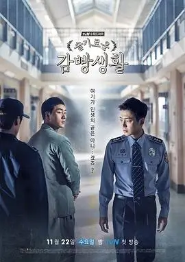 无广告纯净追剧体验